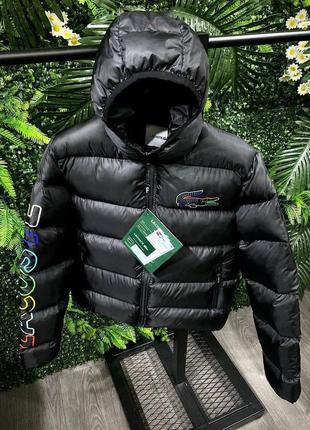 Чоловіча зимова куртка лакоста чорна / брендові куртки від lacoste