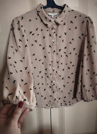 Блузка жіноча, бежевого кольору, розмір м