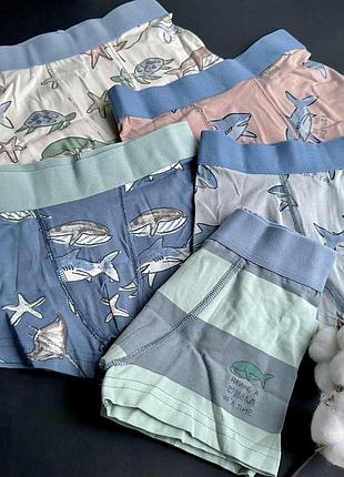 Боксери з морською тематикою