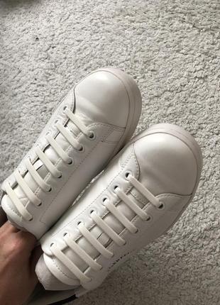 Кросівки , кеди karl lagerfeld 40p оригінал4 фото