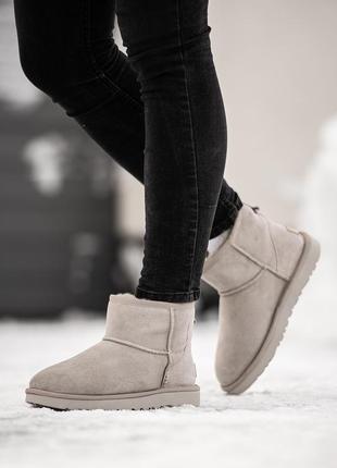 Угги ugg classic mini угги натуральная овчина