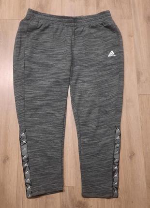 Штаны спортивные женские adidas e tpe pt(xl)2 фото