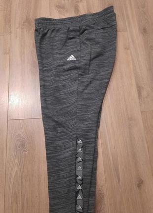 Штаны спортивные женские adidas e tpe pt(xl)