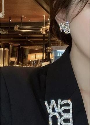 Шикарные серьги alexander wang3 фото