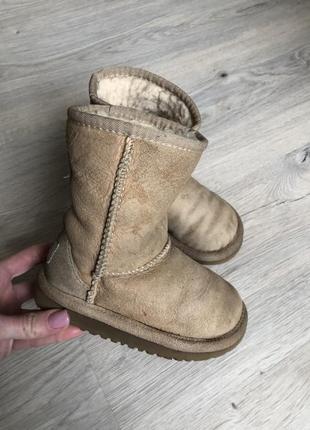 Уггі ugg оригінал 26