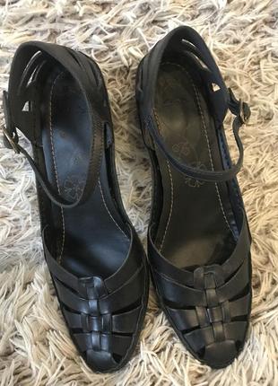 Тифли clarks