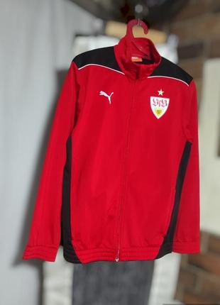 Олимпийка спортивная кофта puma футбольного клуба vfb stuttgart1 фото