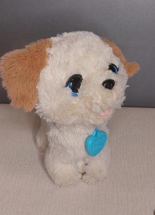 Інтерактивна іграшка hasbro fur real щеня пакс friends pax4 фото