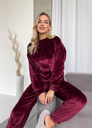 Жіночий махровий домашній костюм теплий комплект світшот і штани якісний, піжама1 фото