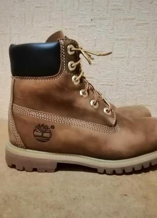 Черевики timberland inch 6