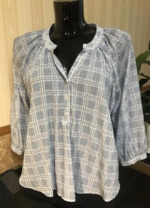 Блузка объемна «розлітайка» 12 заміри на фото