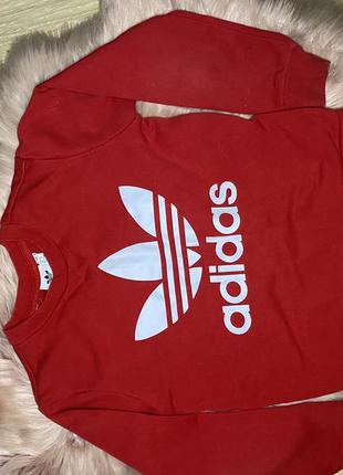 Свитшот adidas