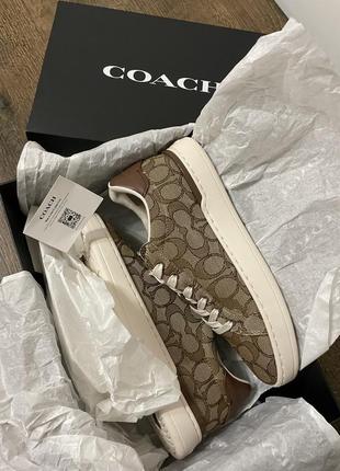 Кеди coach оригінал