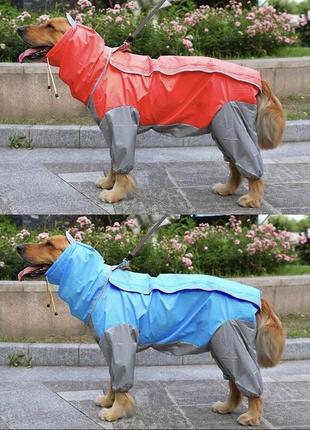 Дощовик для собак