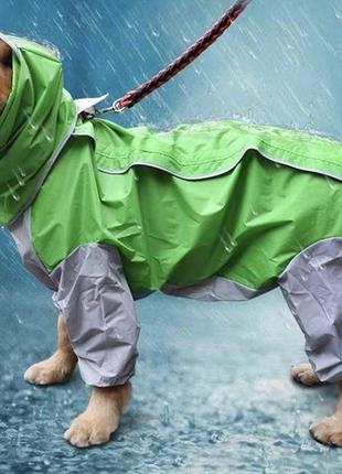 Дощовик для собак2 фото