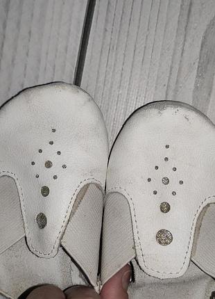 Чешки trinity натуральная кожа 5