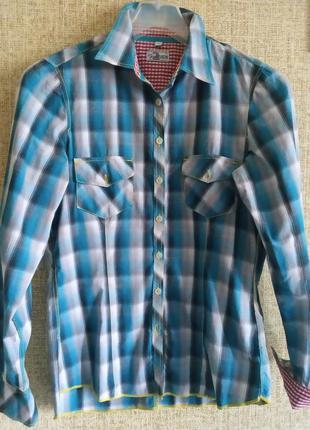 Яскрава сорочка в клітку бірюзову