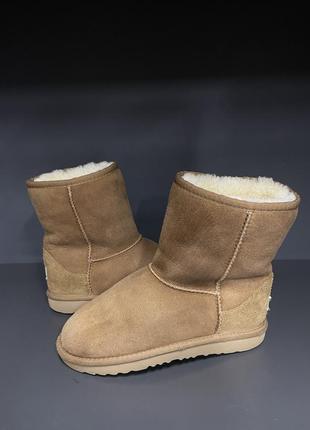 Уги ugg1 фото