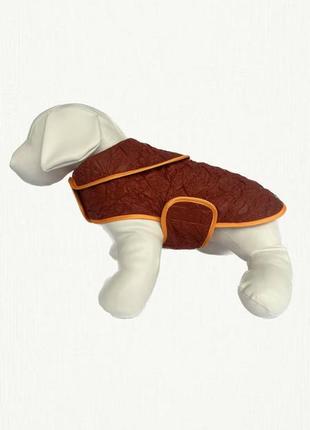 Одежда для собак, попона-дождевик