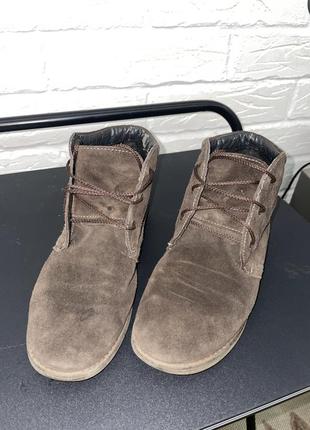 Замшевые ботинки на шнуровке bissell кожа zara, clarks10 фото