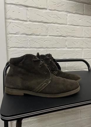 Замшевые ботинки на шнуровке bissell кожа zara, clarks1 фото