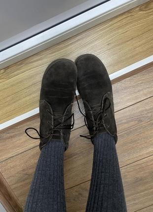 Замшевые ботинки на шнуровке bissell кожа zara, clarks2 фото