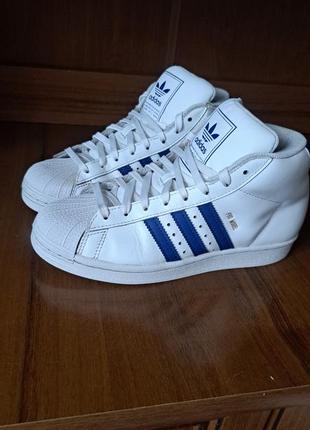 Сникерсы, кроссовки, хайтопы adidas3 фото