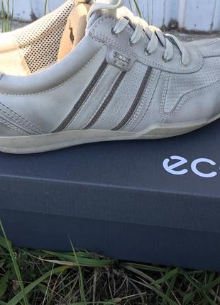 Чоловічі демісезонні черевики ecco summer sneaker 540024 021522 фото