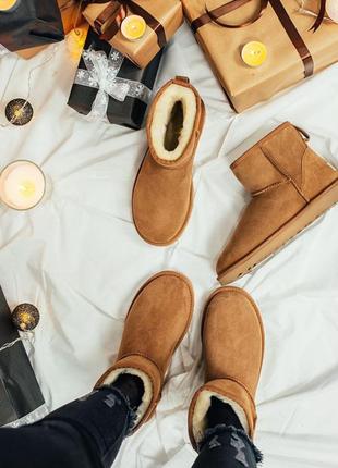 Уггі угги уги угі ugg classic mini