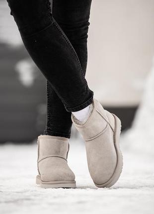 Уггі угги уги угі ugg classic mini9 фото