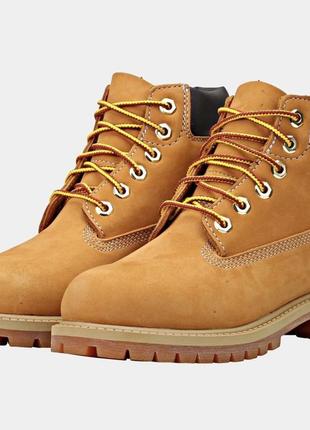Timberland 34 2025