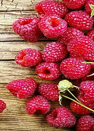 Алмазна мозаїка соковита малина розміром 40х50 см  (jsfh85871)