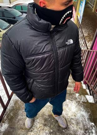 Мужская тёплая зимняя куртка без капюшона tnf чёрная. чёрный пуховик tnf