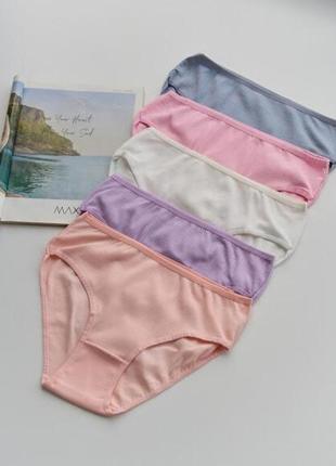 Набор однотонные трусики в рубчик батал - цветной микс размер 2xl от 5шт
