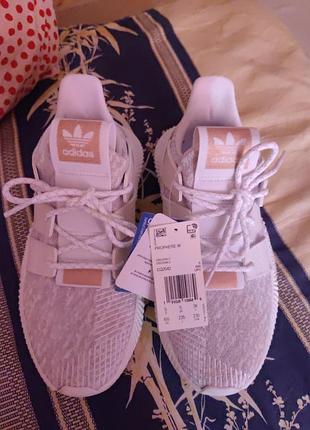 Кроссовки adidas prophere