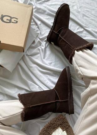 Жіночі зимові уггі ugg bailey button triplet ii brown umber овчина5 фото