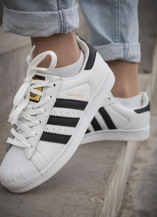 Кроссовки team adidas superstar кросівки