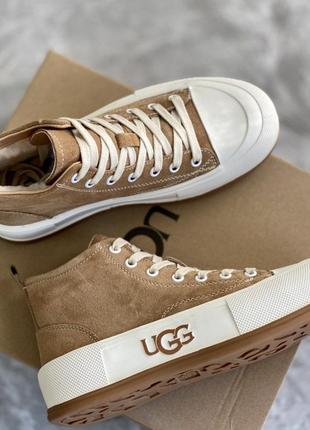 Кеди ugg зимові