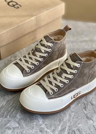 Кеди ugg зимові