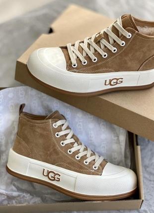 Кеди ugg зимові
