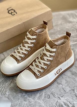 Кеди ugg зимові