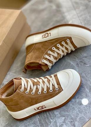 Кеди ugg зимові