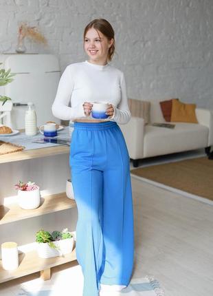 Штани-кюлоти волошкові