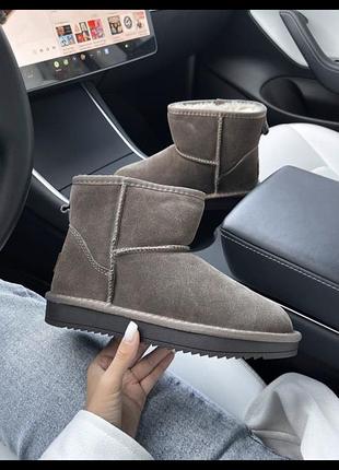 Ugg mini