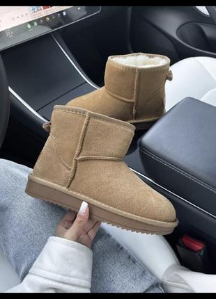 Ugg mini