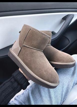 Ugg mini1 фото