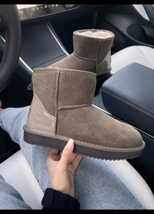 Ugg mini5 фото