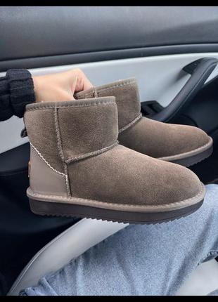 Ugg mini6 фото