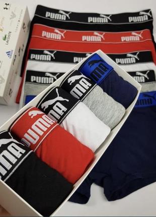 Набір чоловічих боксерів труси puma