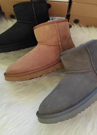 Топ женские угги ugg australia